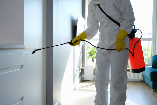 Best Residential Mold Remediation in Bogota, NJ